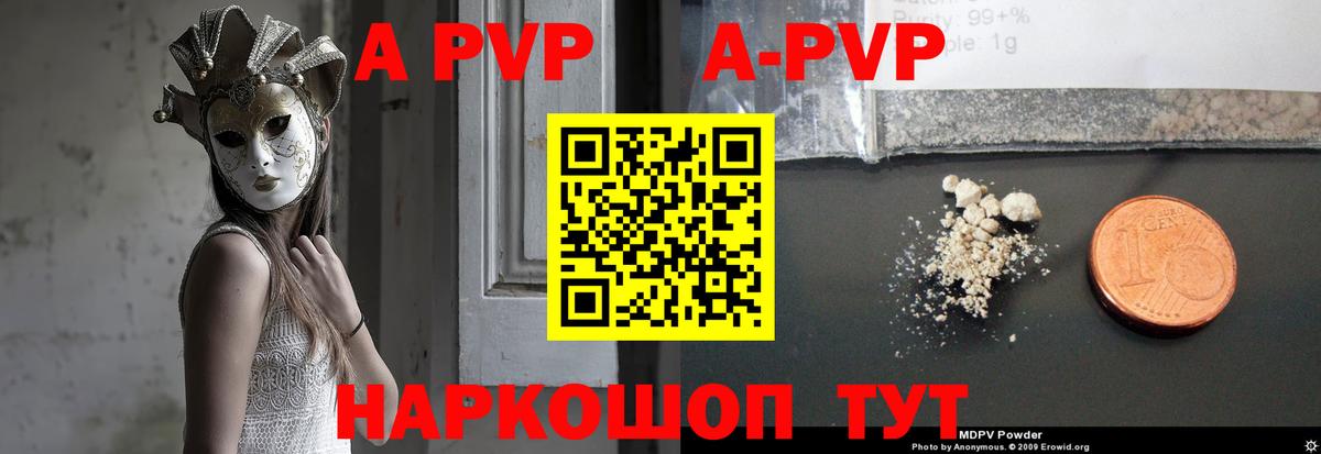 A PVP СК КРИС Ртищево