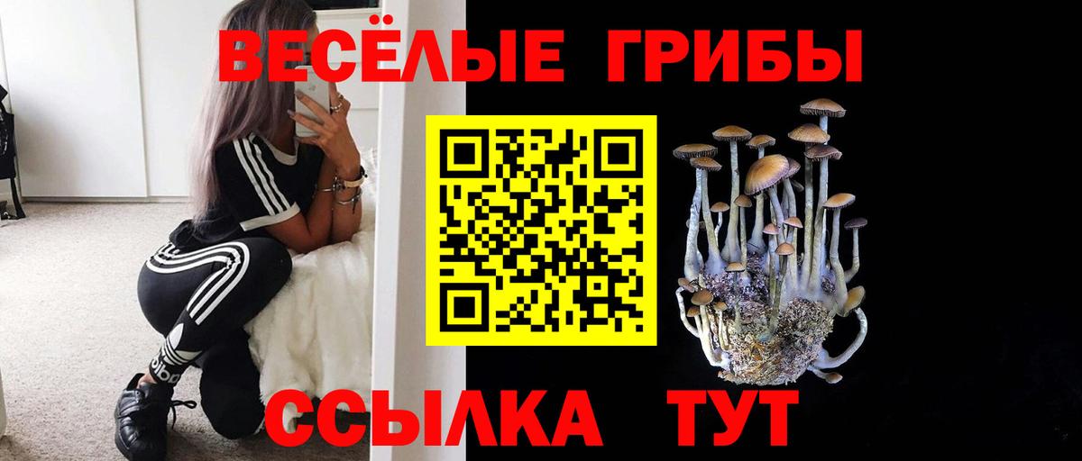 Галлюциногенные грибы Cubensis Ртищево